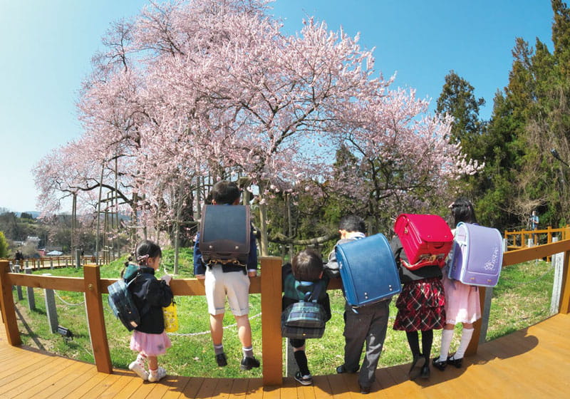 福島県矢祭町01