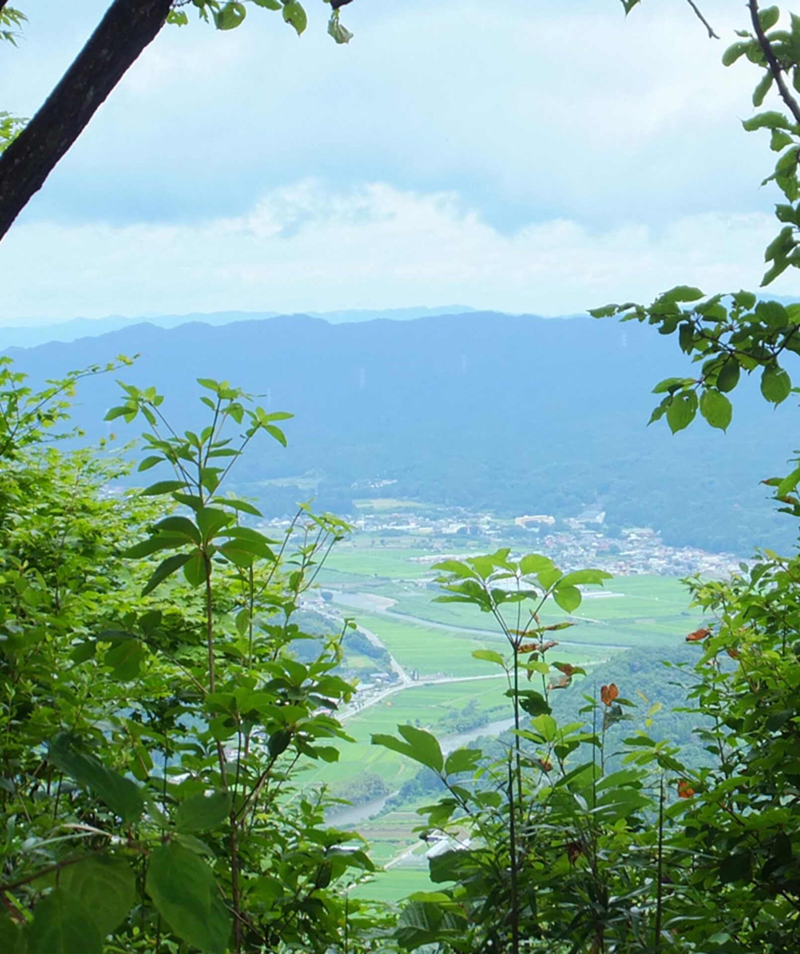 矢祭 町 役場